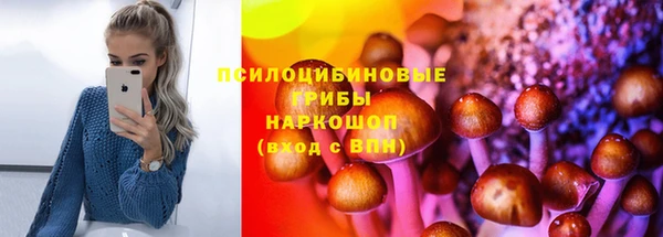 PSILOCYBIN Балахна